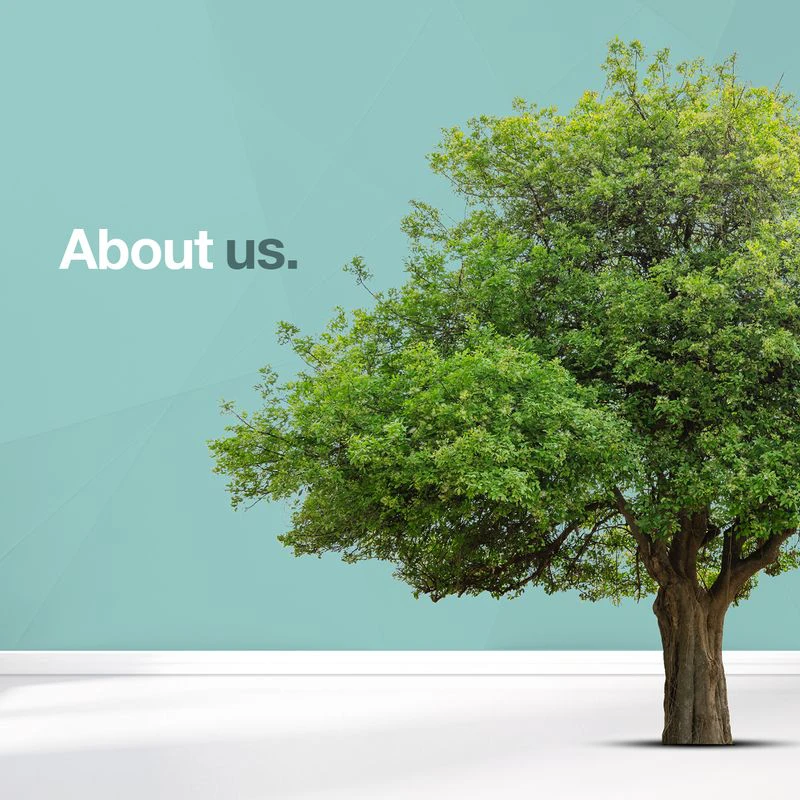 A vibrant green tree standing tall against a teal geometric background, symbolising growth and stability. On the left, the QURE logo with the tagline ‘Problem Solved,’ and on the right, bold text reading ‘About us.’